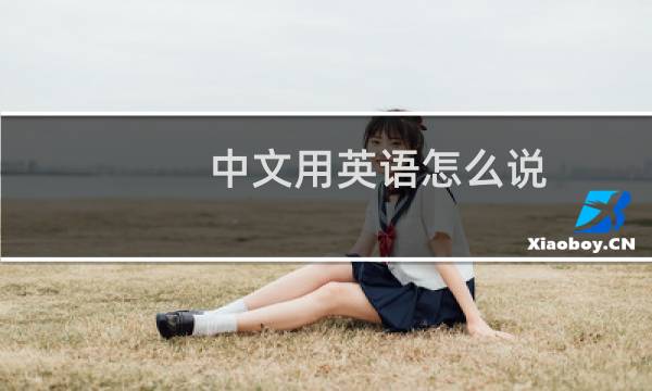 中文用英语怎么说