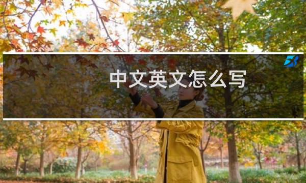 中文英文怎么写