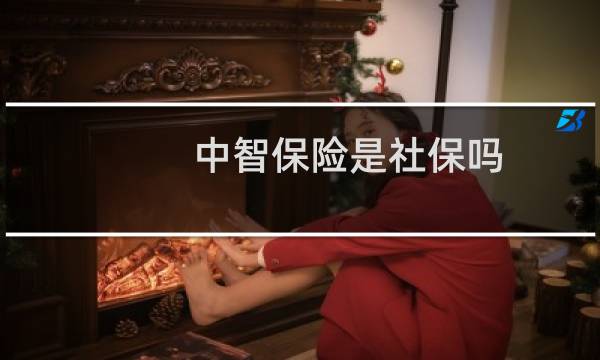 中智保险是社保吗