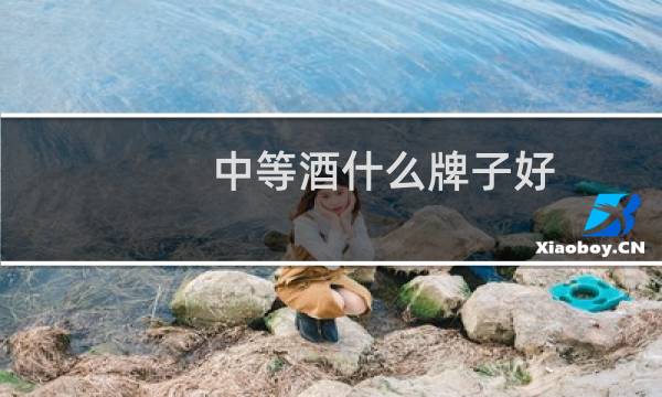 中等酒什么牌子好