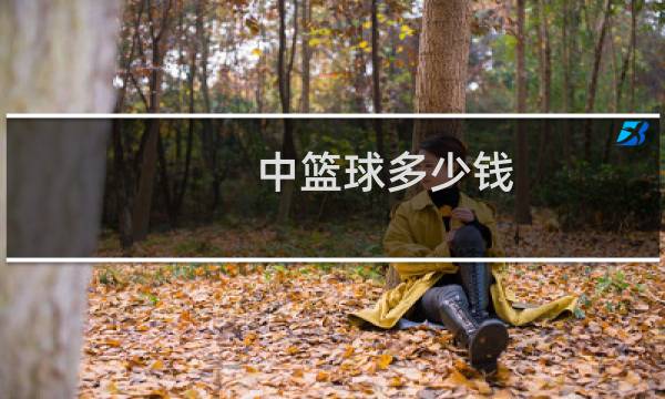 中篮球多少钱
