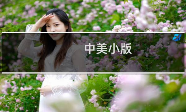 中美小版 价格