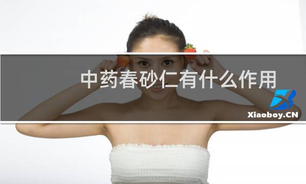 中药春砂仁有什么作用