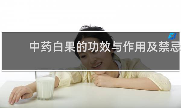 中药白果的功效与作用及禁忌