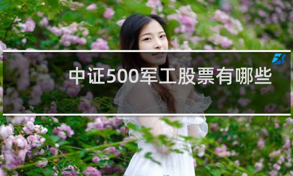 中证500军工股票有哪些