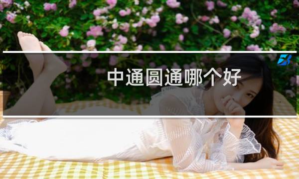 中通圆通哪个好
