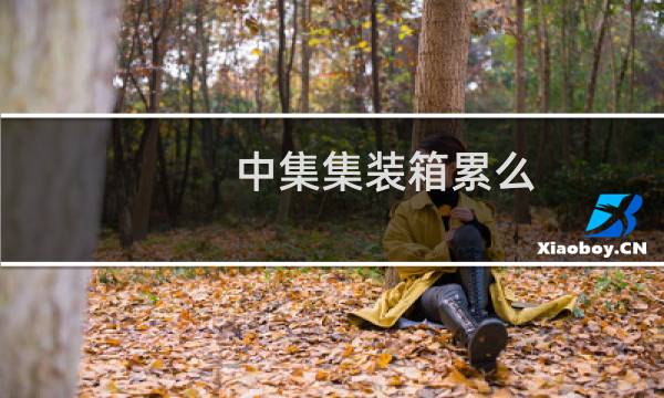 中集集装箱累么