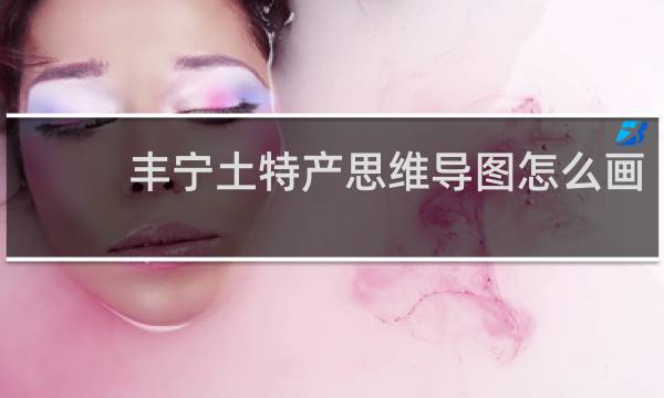 丰宁土特产思维导图怎么画