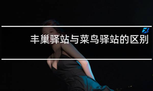 丰巢驿站与菜鸟驿站的区别