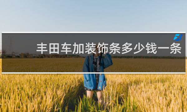 丰田车加装饰条多少钱一条