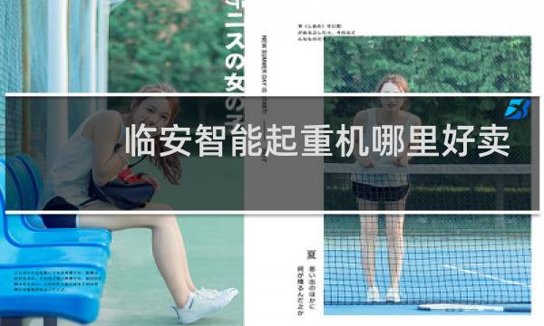 临安智能起重机哪里好卖
