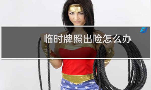 临时牌照出险怎么办