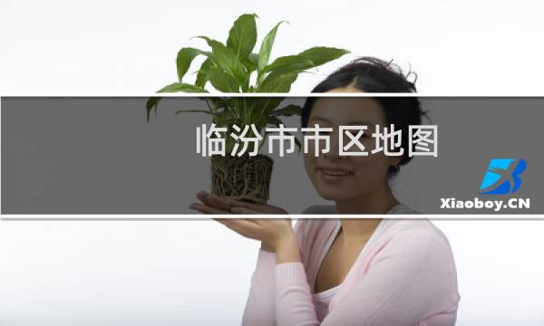 臨汾市市區(qū)地圖