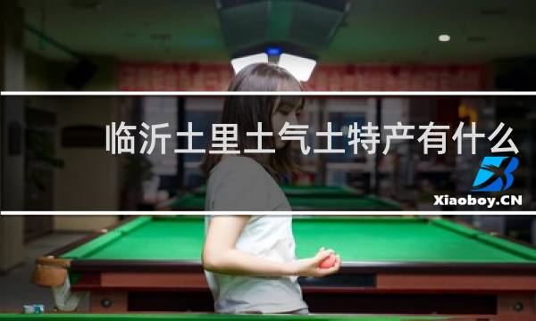 临沂土里土气土特产有什么