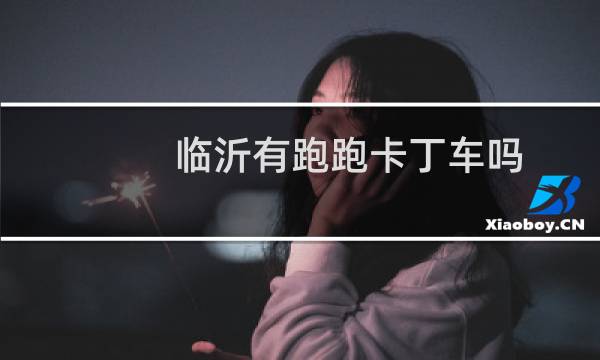 临沂有跑跑卡丁车吗