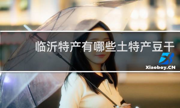 临沂特产有哪些土特产豆干