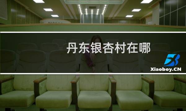 丹东银杏村在哪