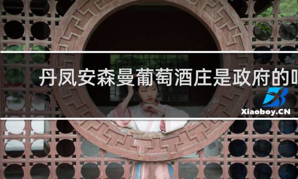 丹凤安森曼葡萄酒庄是政府的吗