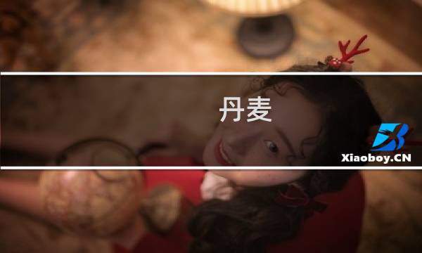 丹麦 攻略