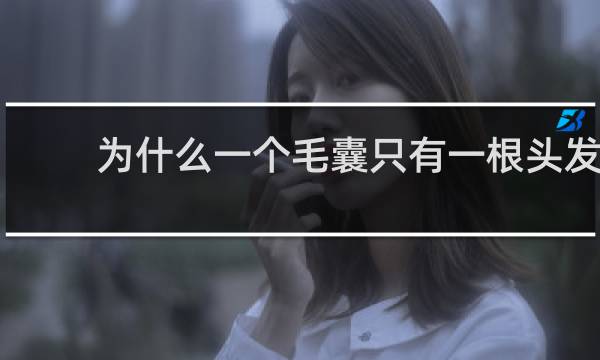 为什么一个毛囊只有一根头发