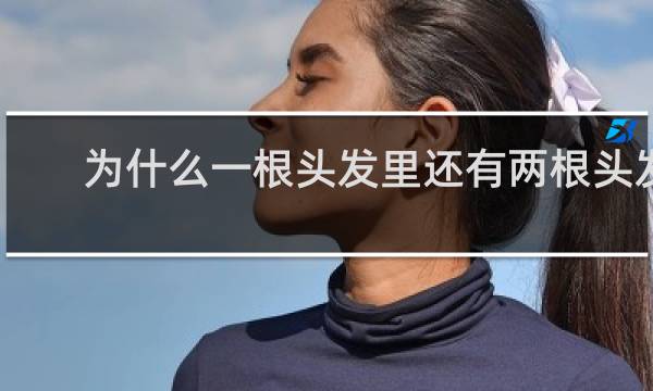 为什么一根头发里还有两根头发