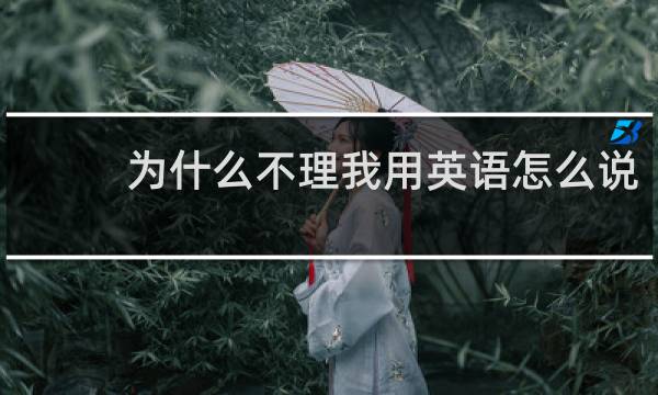 为什么不理我用英语怎么说