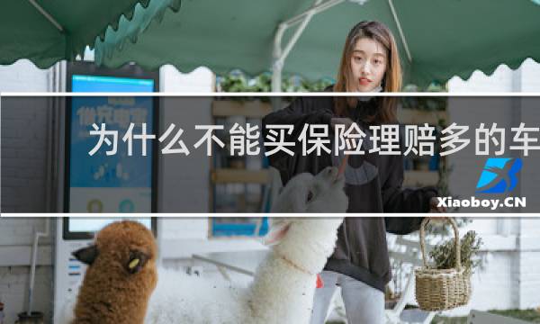 为什么不能买保险理赔多的车