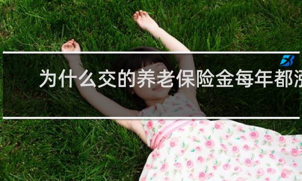 为什么交的养老保险金每年都涨