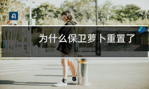 为什么保卫萝卜重置了