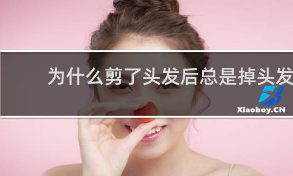 为什么剪了头发后总是掉头发