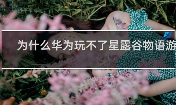 为什么华为玩不了星露谷物语游戏