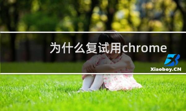 为什么复试用chrome