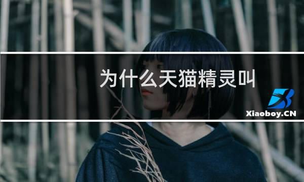 为什么天猫精灵叫