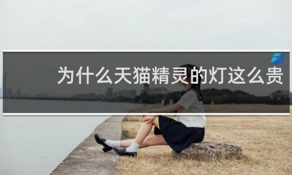 为什么天猫精灵的灯这么贵