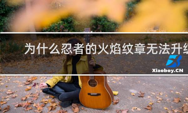 为什么忍者的火焰纹章无法升级