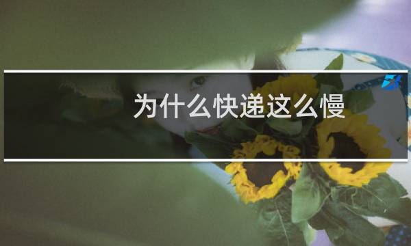 为什么快递这么慢