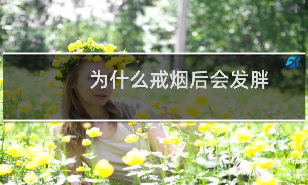 为什么戒烟后会发胖