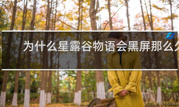 为什么星露谷物语会黑屏那么久