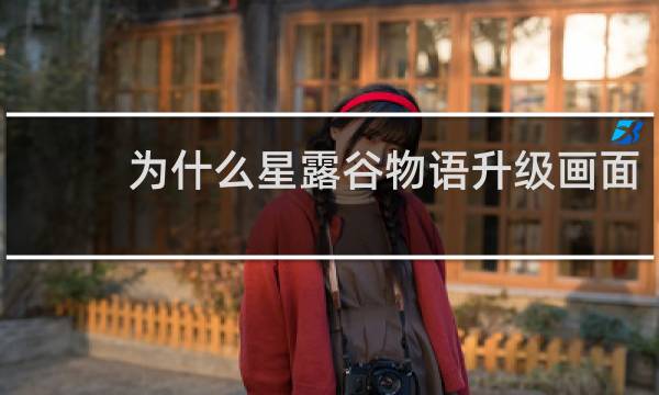 为什么星露谷物语升级画面