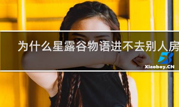 为什么星露谷物语进不去别人房间