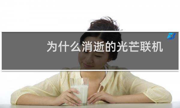 为什么消逝的光芒联机
