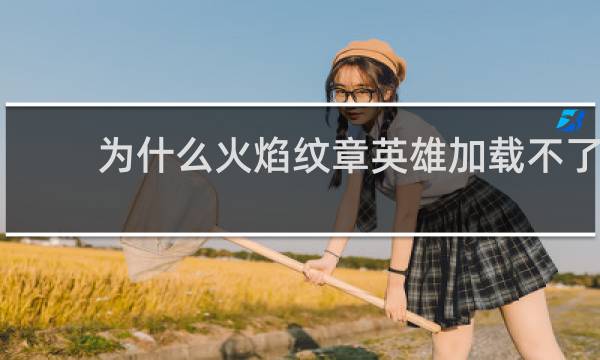 为什么火焰纹章英雄加载不了