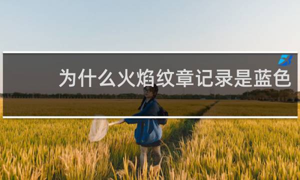 为什么火焰纹章记录是蓝色