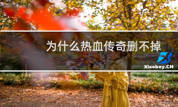 为什么热血传奇删不掉