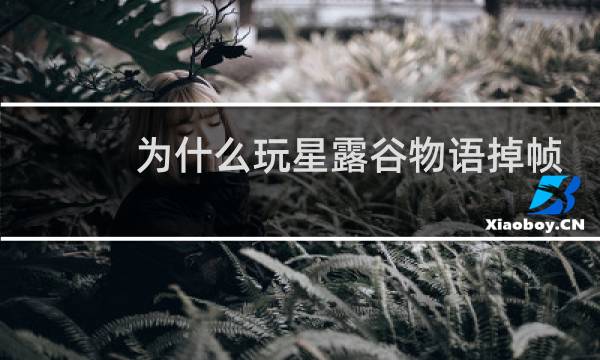 为什么玩星露谷物语掉帧