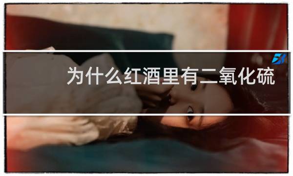 为什么红酒里有二氧化硫