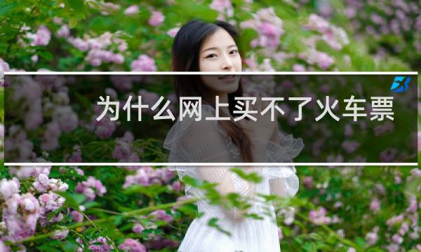 为什么网上买不了火车票