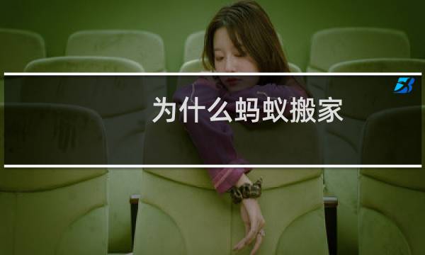 为什么蚂蚁搬家