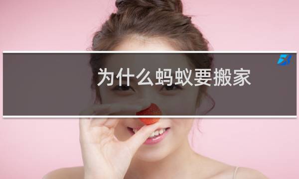 为什么蚂蚁要搬家