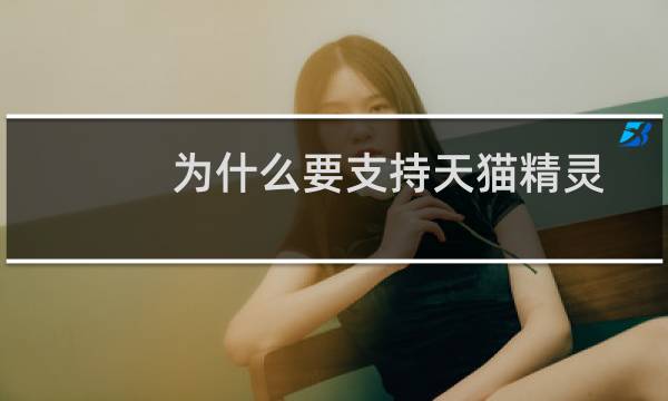为什么要支持天猫精灵